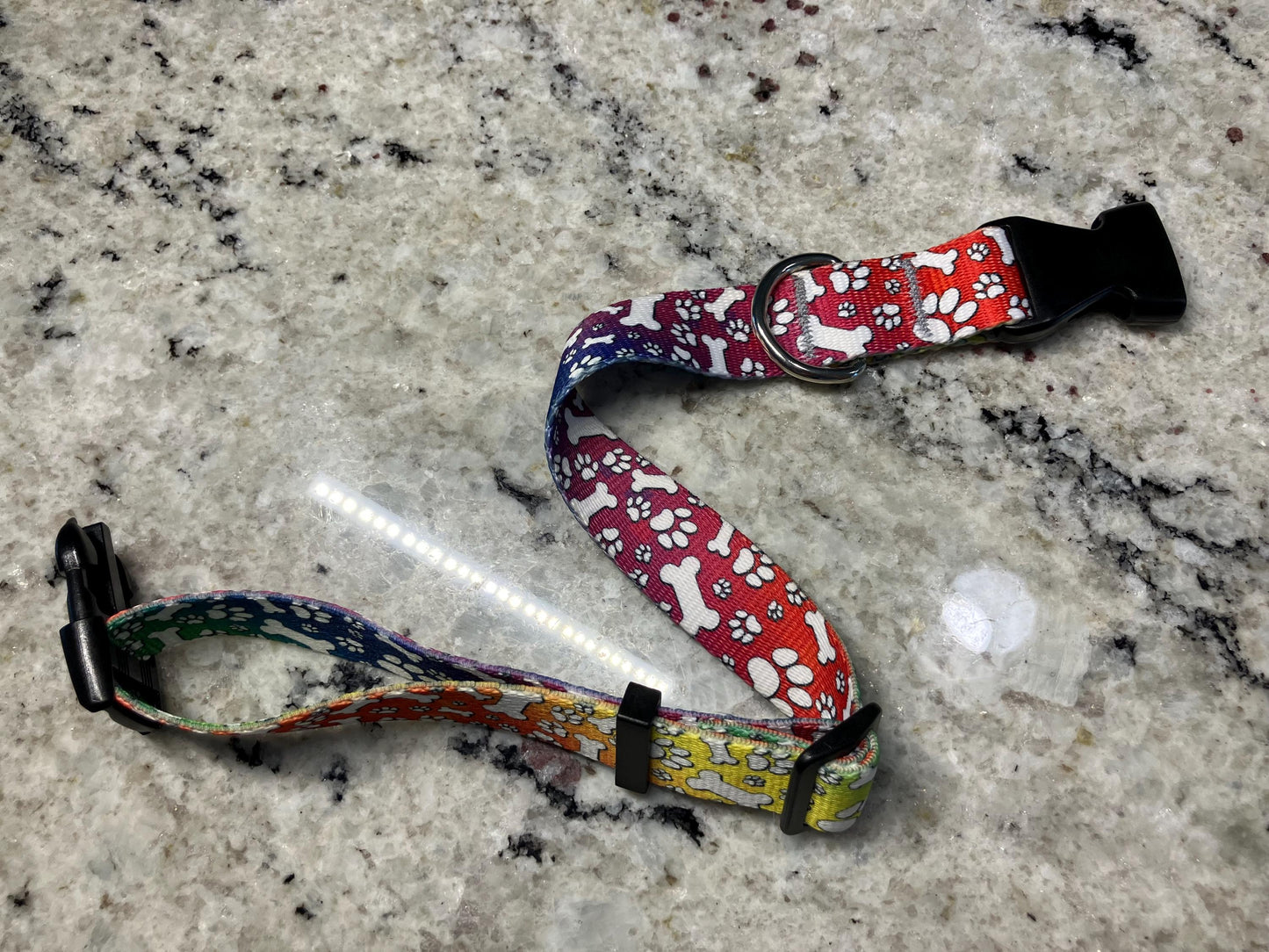 Vibrant, colorful rainbow paw print medium dog collar, bold dog collars, handmade