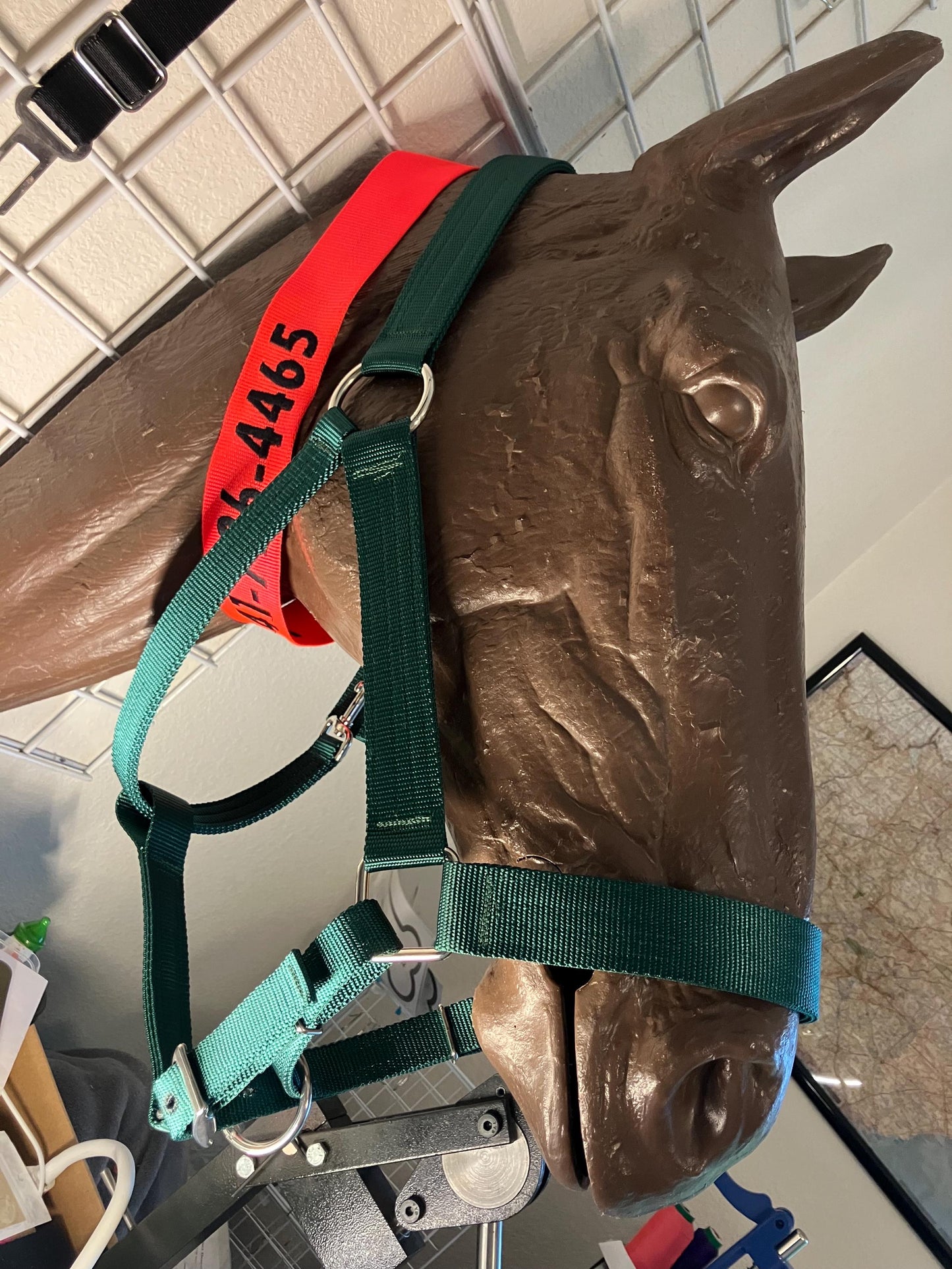 Draft horse 1.5” width halter Custom sewn by your specs, triple stitched triple ply with sewing throughout webbing for strength
