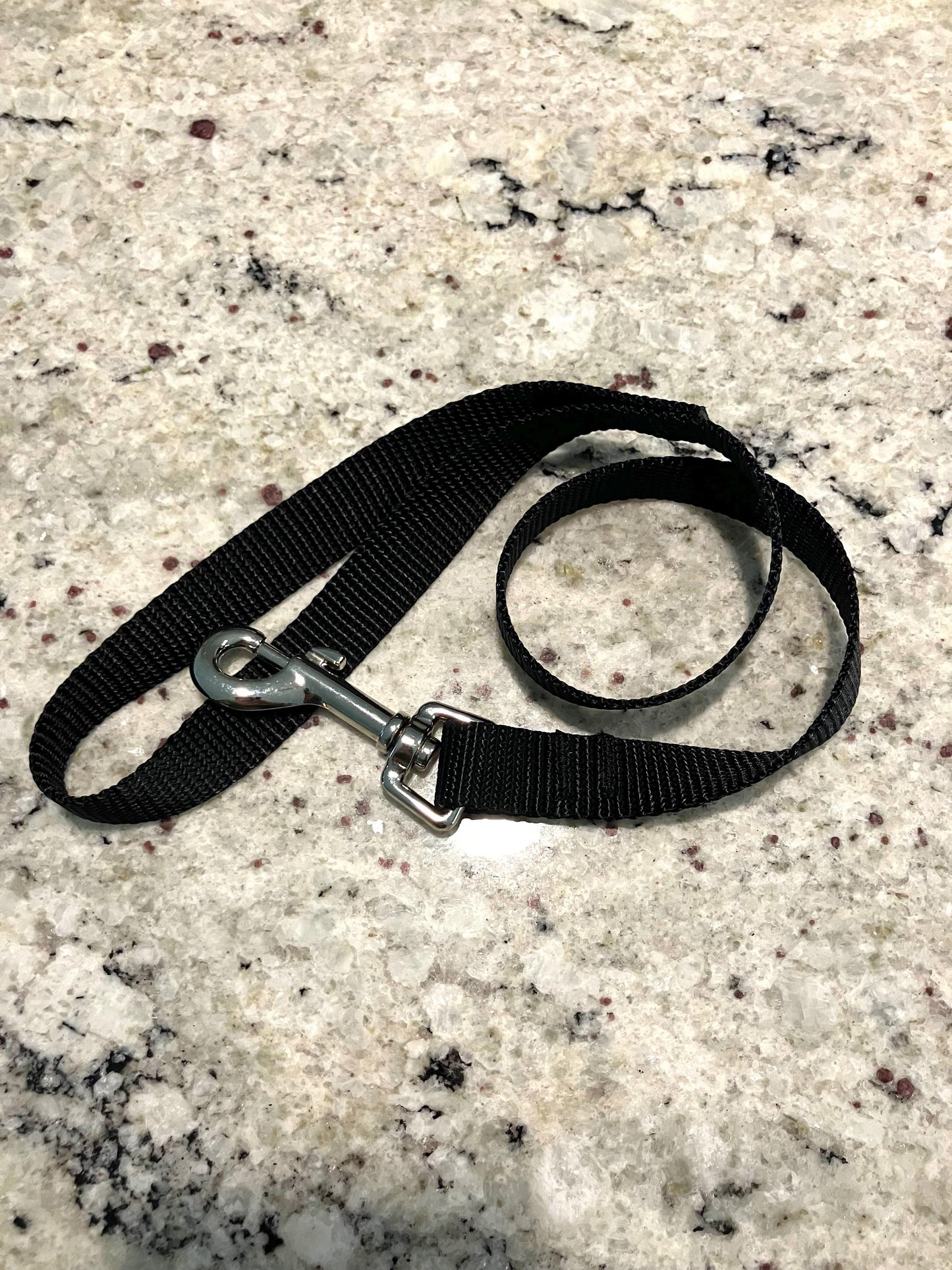 2 foot plain nylon leash, 1" width, optional o ring in handle, multiple color options