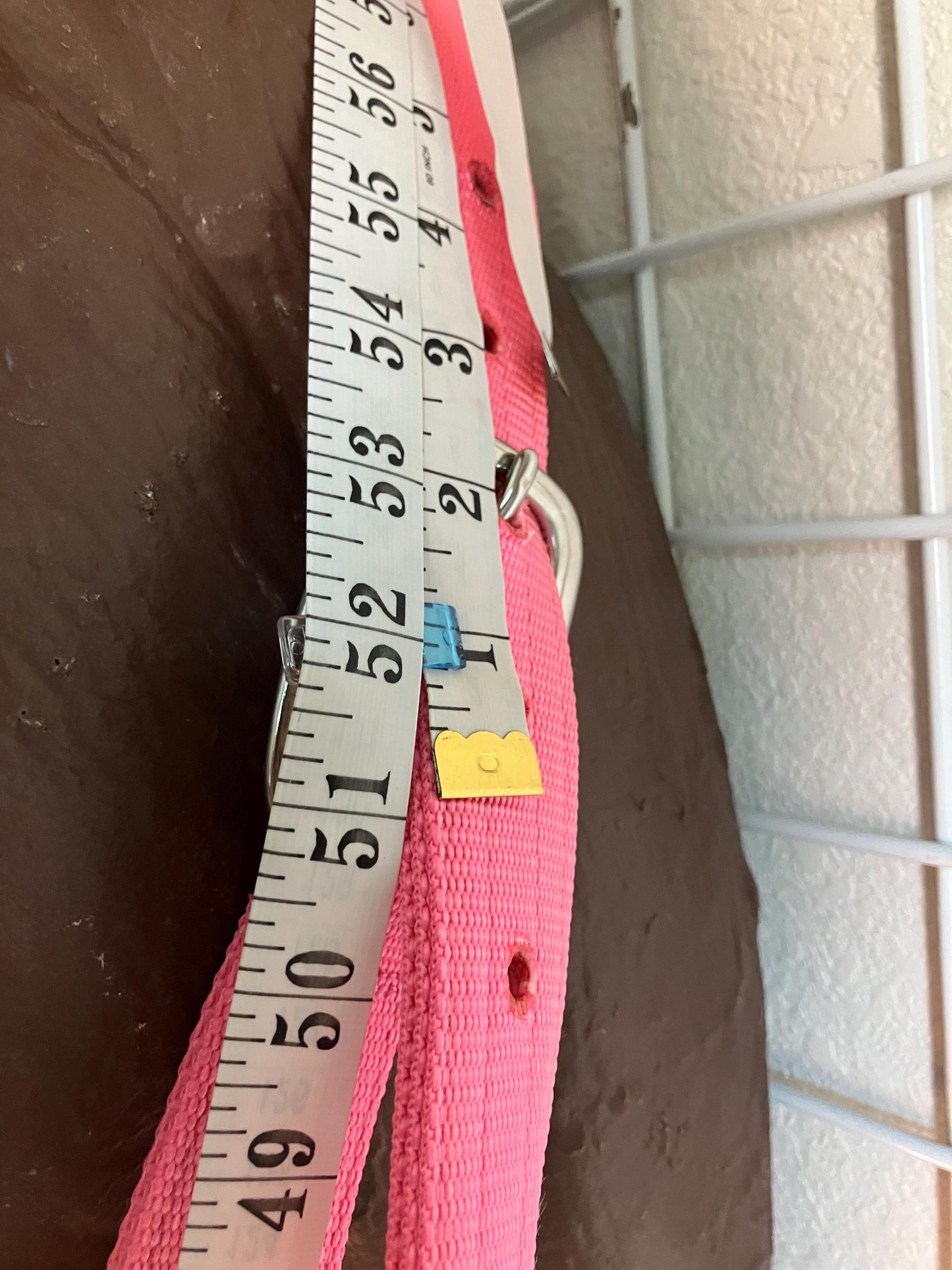 Draft horse 1.5” width halter Custom sewn by your specs, triple stitched triple ply with sewing throughout webbing for strength