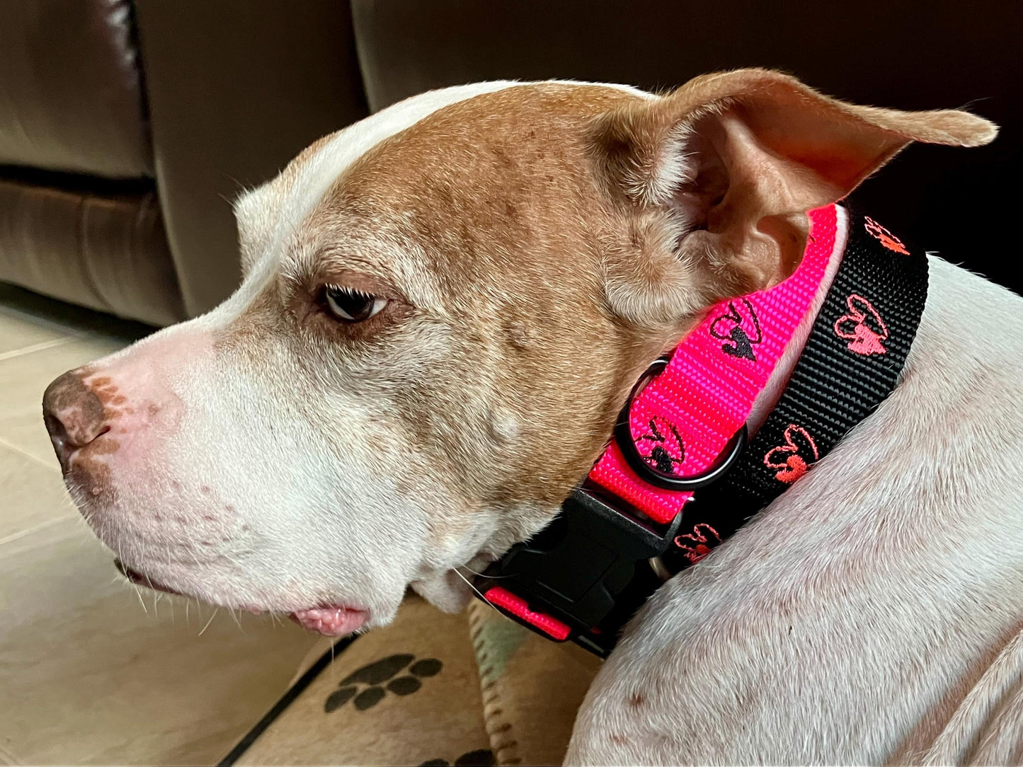 Embroidered heart dog collar 1" width, pink OR black with opposite color hearts