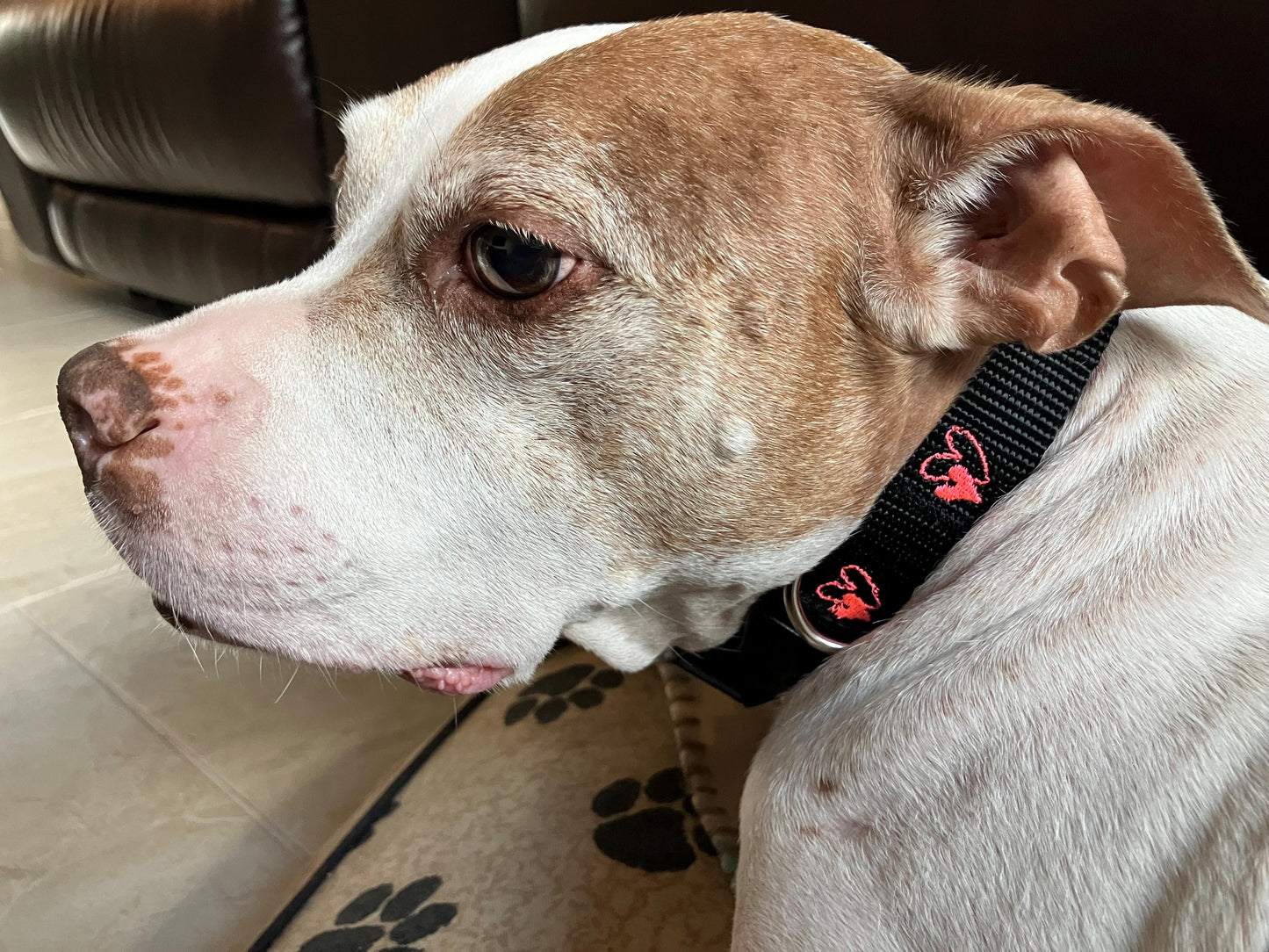 Embroidered heart dog collar 1" width, pink OR black with opposite color hearts