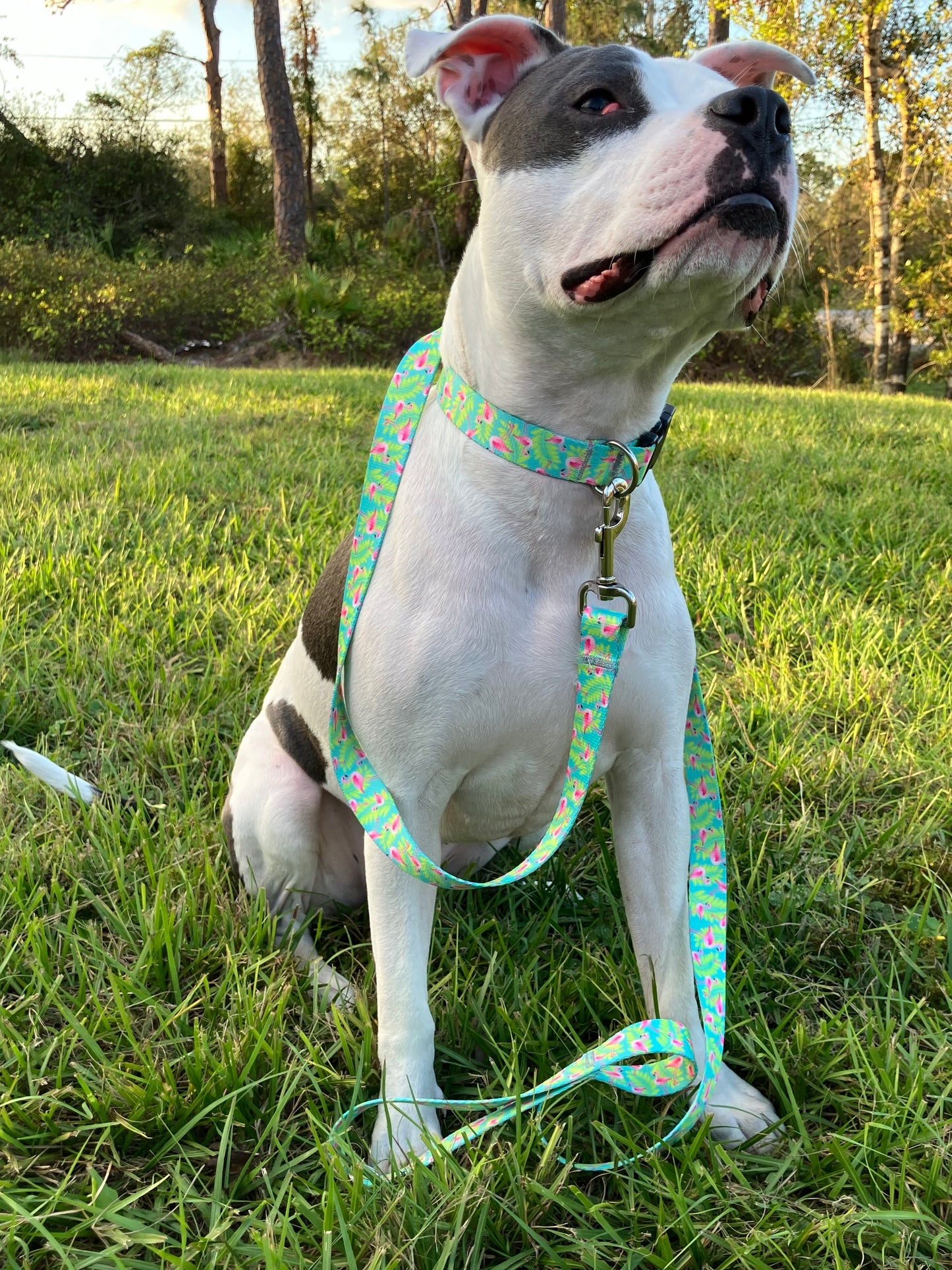 Flamingo Patterned Leash and Collar Set