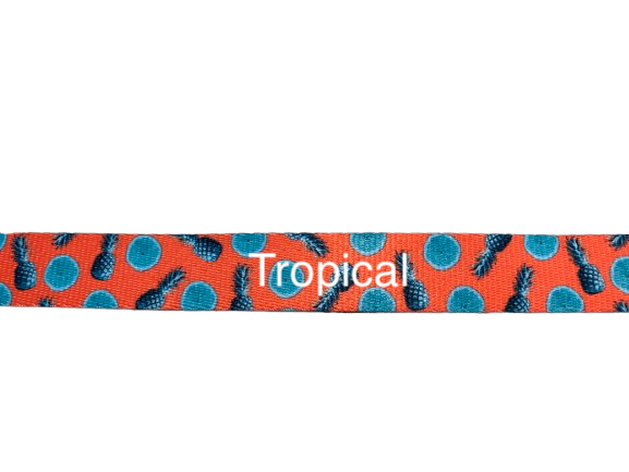 Traffic Handler Dog Leashes 1" and 3/4" Widths
