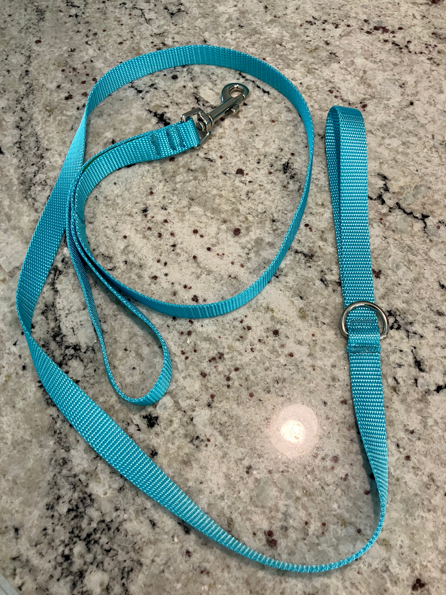 Traffic Handler Dog Leashes 1" and 3/4" Widths