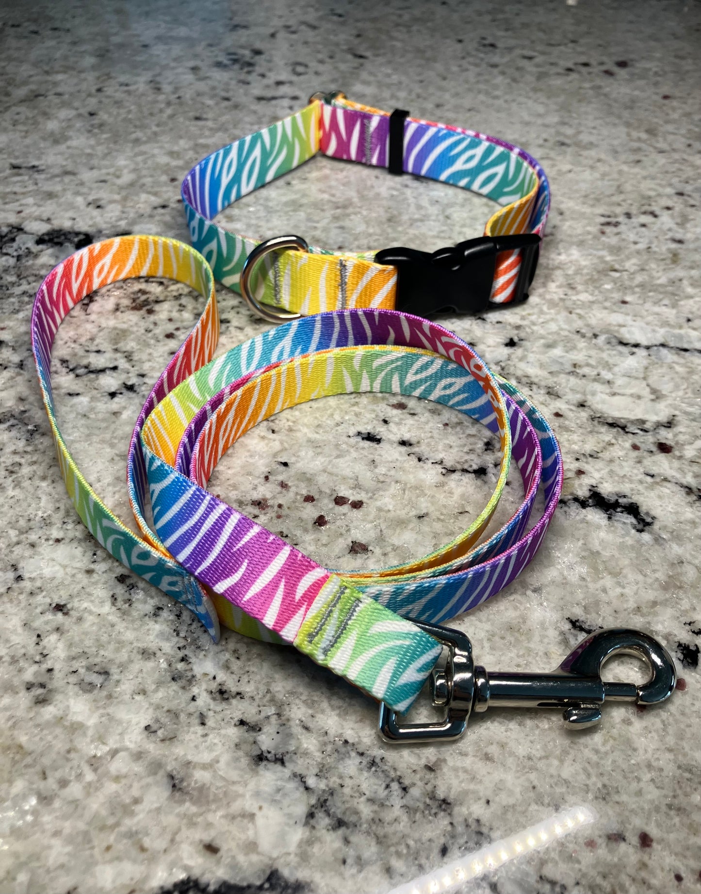 Neon Rainbow Zebra Print Set