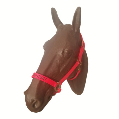 Personalized Horse Evacuation Identification Halter made with Reflective Orange Nylon Webbing, Embroidered Telephone Number, Breakaway Head Strap