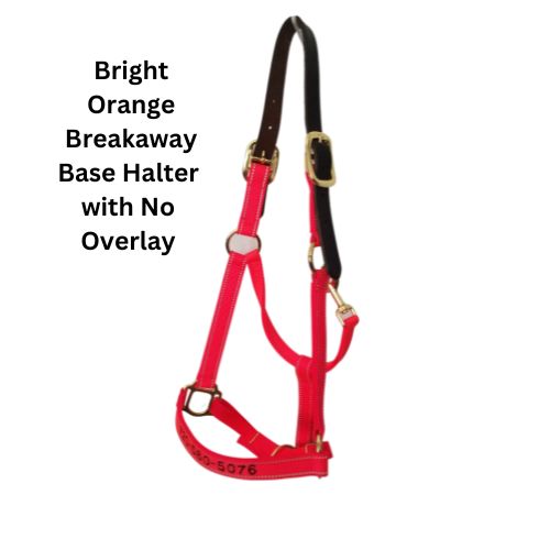 Breakaway Horse Halter, Solid Color Webbing, Choice of Brass or Nickel Hardware. 1" Wide, 3 Ply Nylon Webbing. 14 Color Options
