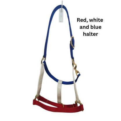 Horse Halter, Solid Color Webbing, Choice of Brass or Nickel Hardware. 1" Wide, 3 Ply Nylon Webbing