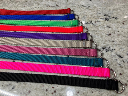 Nylon Slip Lead for dogs, Show Ready Leashes for Kennel, Training, or Emergencies