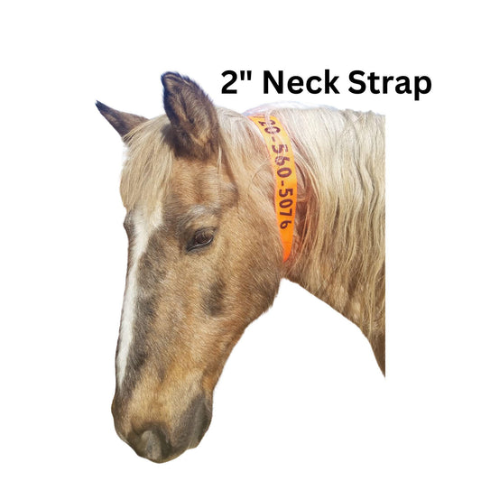 Personalized Horse Evacuation collar, emergency equine preparedness, storm prep, wildfire, natural disasters