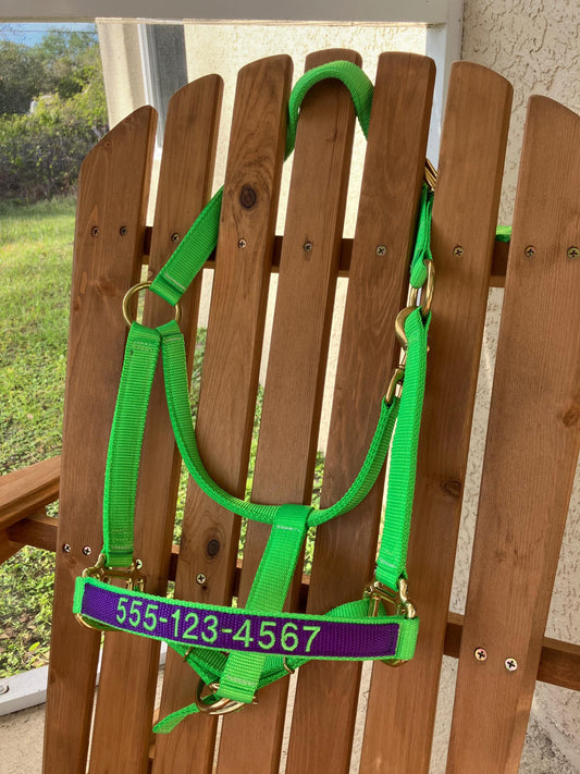 Custom Embroidered Horse Halter, Personalized Name or Phone Number on Noseband, Durable Nylon w/ Plain Webbing Overlays, Adjustable Fit