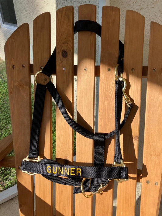 Personalized black horse halter, custom embroidered noseband, sleek simple design, made in USA