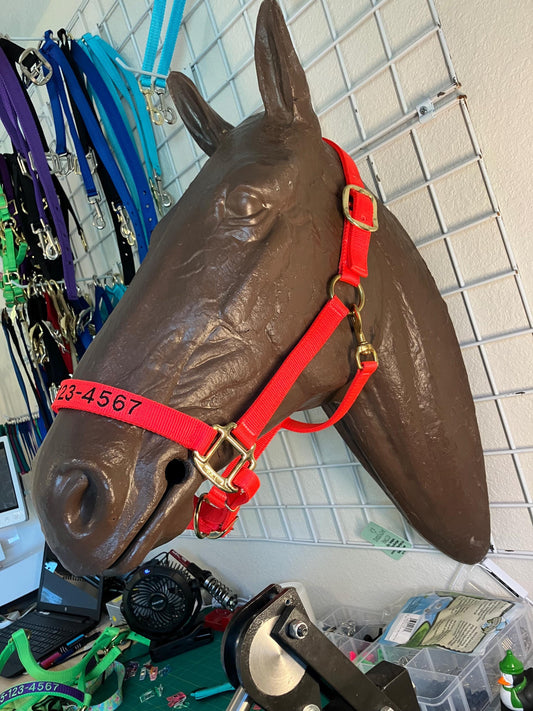 Personalized Horse Emergency Evacuation Halter, Embroidered phone number on Nose Piece, Bright safety Orange Halter, Heavy Duty Nylon Halter