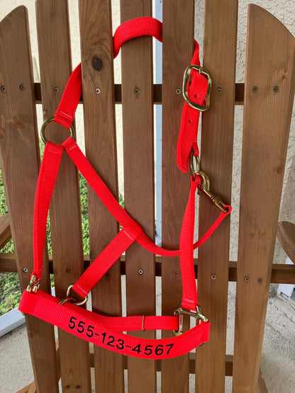 Personalized Horse Emergency Evacuation Halter, Embroidered phone number on Nose Piece, Bright safety Orange Halter, Heavy Duty Nylon Halter