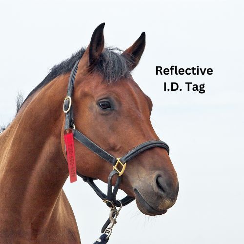 Personalized Horse Evacuation Identification Tag; Reflective Orange Nylon Webbing; 1 inch Wide, 9 inches Long; Embroidered Phone Number