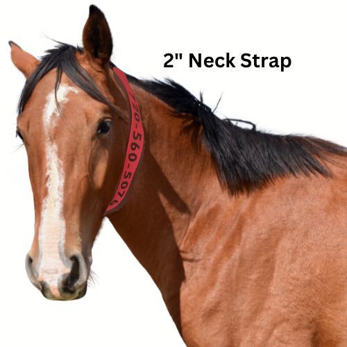 Personalized Horse Evacuation Identification Neck Strap; 2 inch wide Bright Orange Nylon Webbing; 2 inch by 4 inch Velcro "breakaway" connection; Embroidered Phone Number